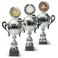 Vidējā izmēra kausu komplekts - Set cup medium size -  Kausi, medaļas