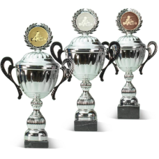 Lielā izmēra kausu komplekts - Set cup big size -  Kausi, medaļas
